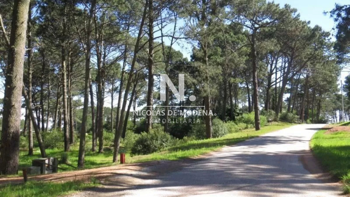 Club del Lago - GoPunta - Portal Inmobiliario de Punta del Este - Maldonado