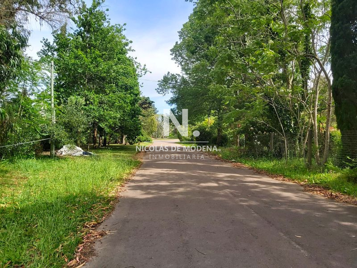 Golf - GoPunta - Portal Inmobiliario de Punta del Este - Maldonado