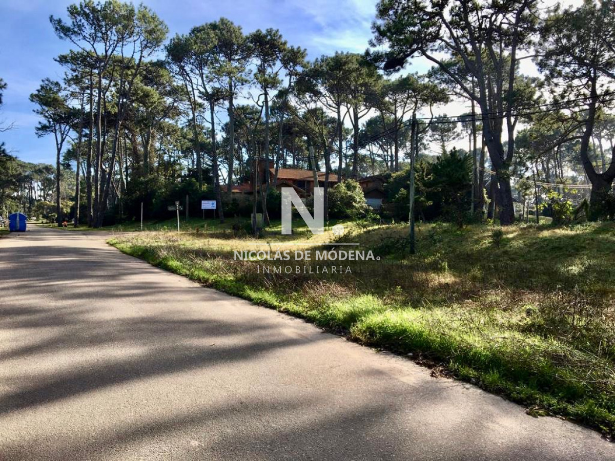 San Rafael - GoPunta - Portal Inmobiliario de Punta del Este - Maldonado