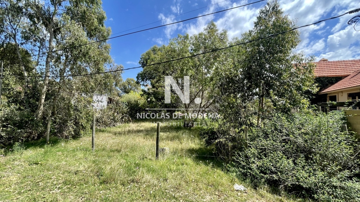 El Tesoro - GoPunta - Portal Inmobiliario de Punta del Este - Maldonado
