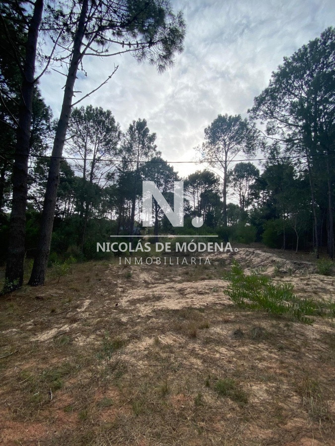 Club del Lago - GoPunta - Portal Inmobiliario de Punta del Este - Maldonado