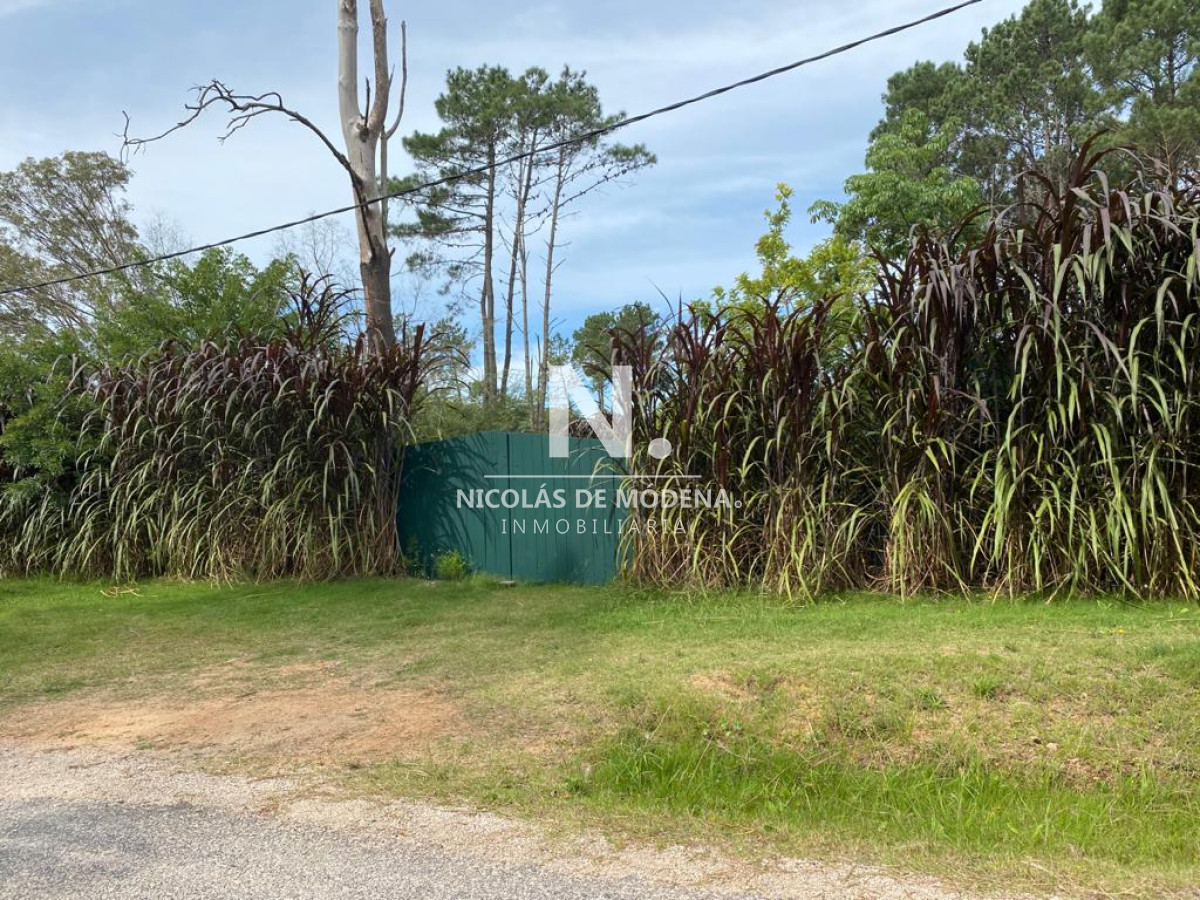 Golf - GoPunta - Portal Inmobiliario de Punta del Este - Maldonado