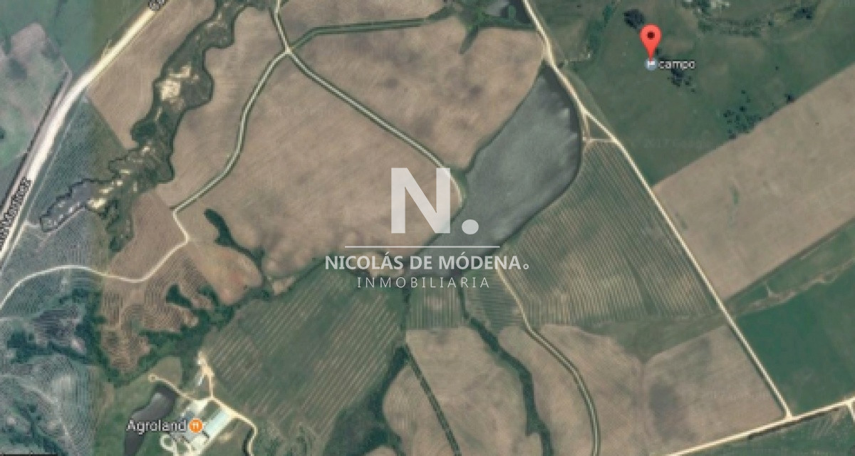 Terreno