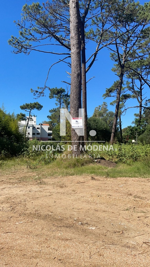 Rincón del Indio - GoPunta - Portal Inmobiliario de Punta del Este - Maldonado