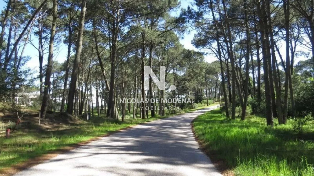 Club del Lago - GoPunta - Portal Inmobiliario de Punta del Este - Maldonado