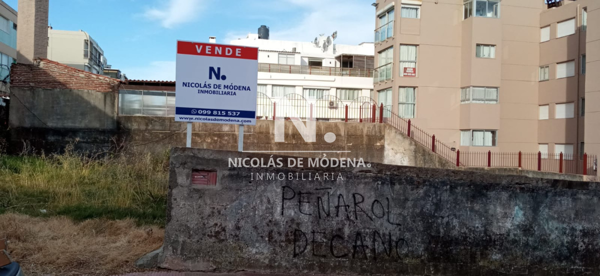 Península - GoPunta - Portal Inmobiliario de Punta del Este - Maldonado