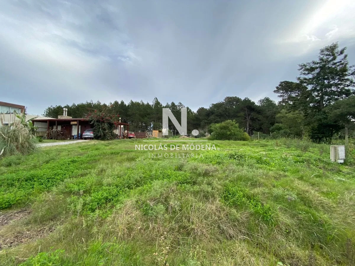 Punta Ballena - GoPunta - Portal Inmobiliario de Punta del Este - Maldonado