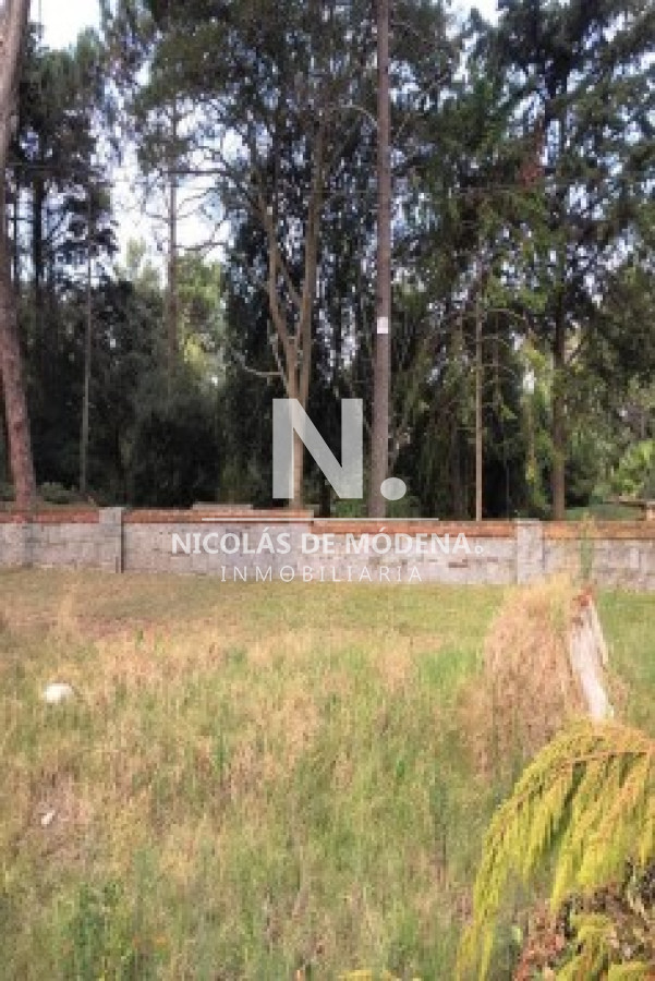 San Rafael - GoPunta - Portal Inmobiliario de Punta del Este - Maldonado