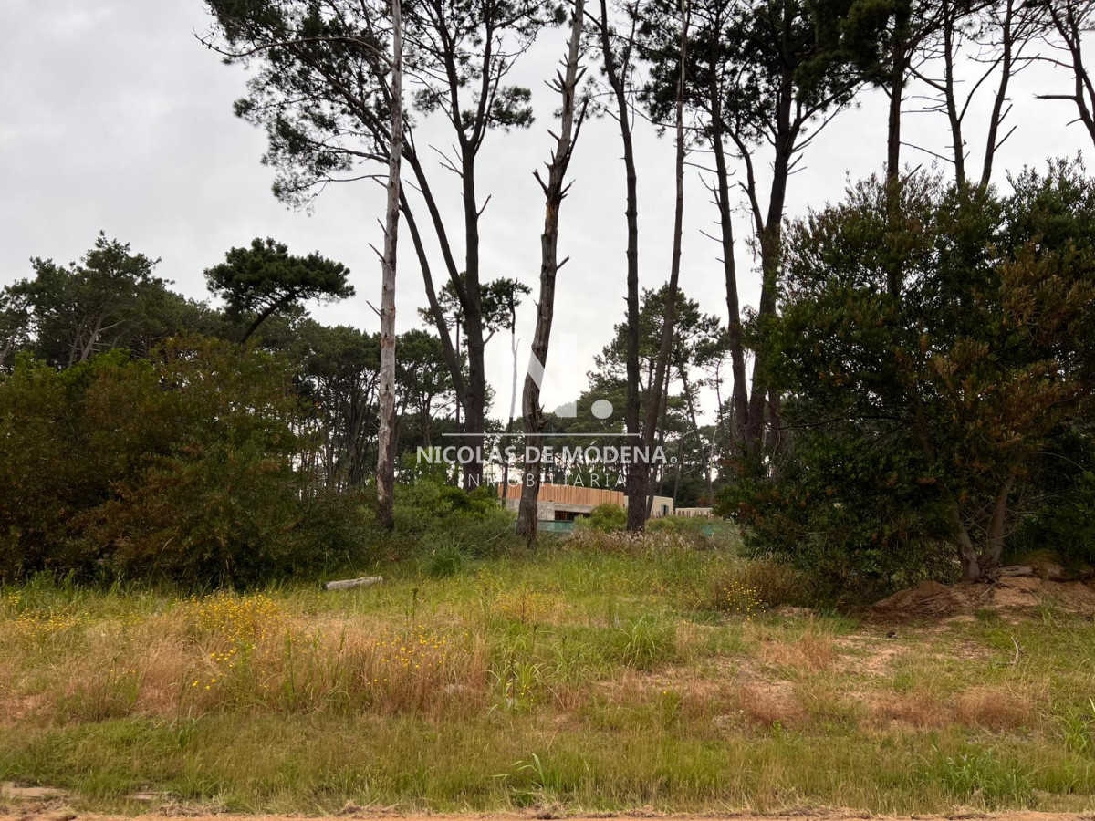 Montoya - GoPunta - Portal Inmobiliario de Punta del Este - Maldonado