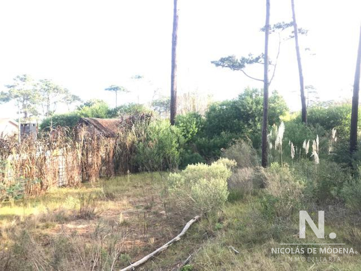 Montoya - GoPunta - Portal Inmobiliario de Punta del Este - Maldonado
