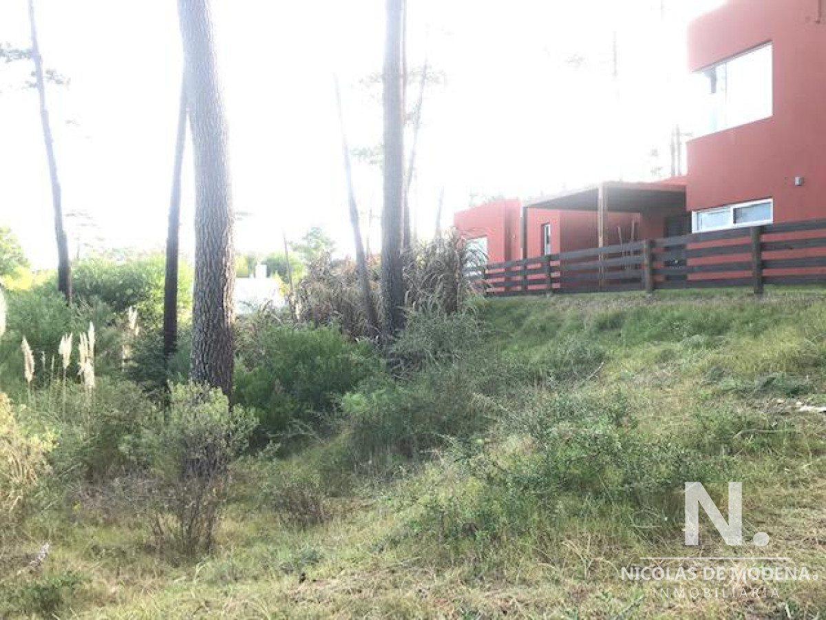Montoya - GoPunta - Portal Inmobiliario de Punta del Este - Maldonado