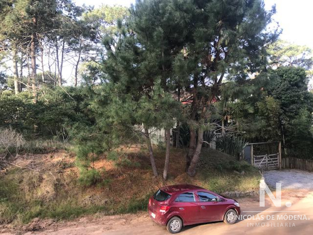 Montoya - GoPunta - Portal Inmobiliario de Punta del Este - Maldonado