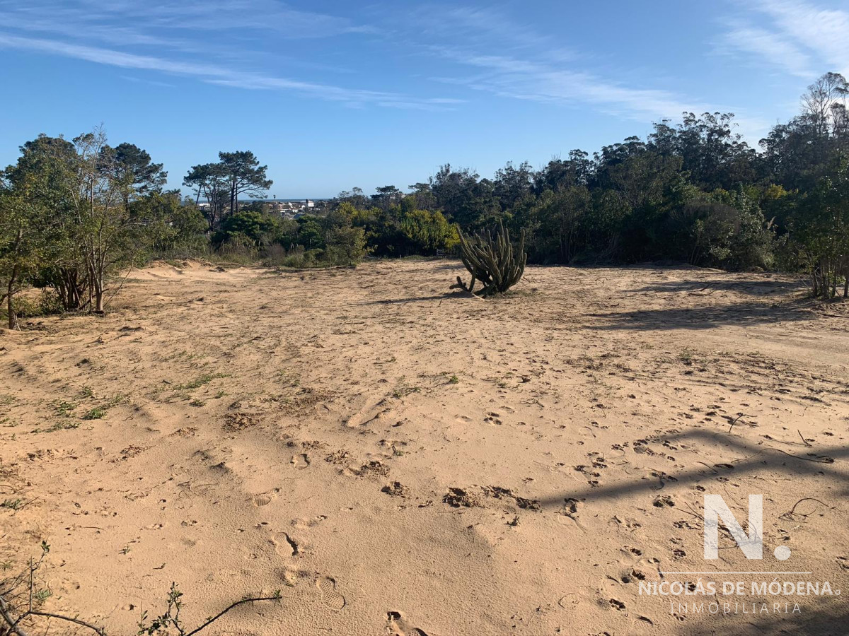 La Barra - GoPunta - Portal Inmobiliario de Punta del Este - Maldonado