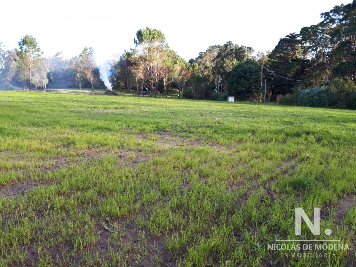 Rincón del Indio - GoPunta - Portal Inmobiliario de Punta del Este - Maldonado