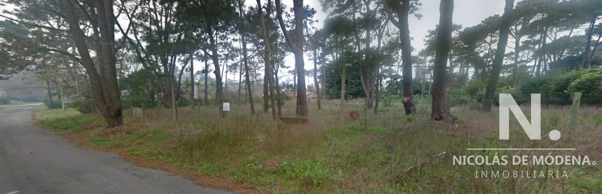 Golf - GoPunta - Portal Inmobiliario de Punta del Este - Maldonado