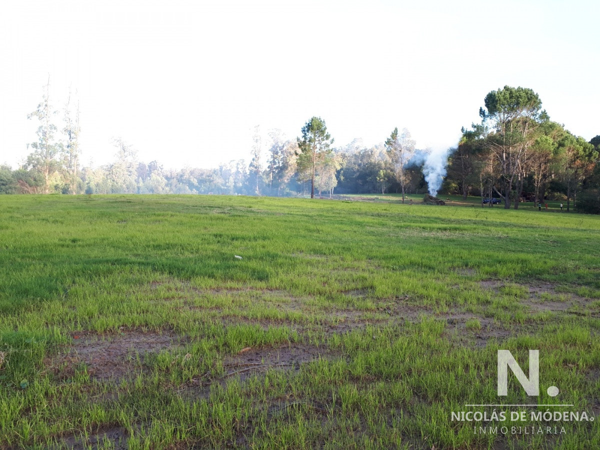 Rincón del Indio - GoPunta - Portal Inmobiliario de Punta del Este - Maldonado