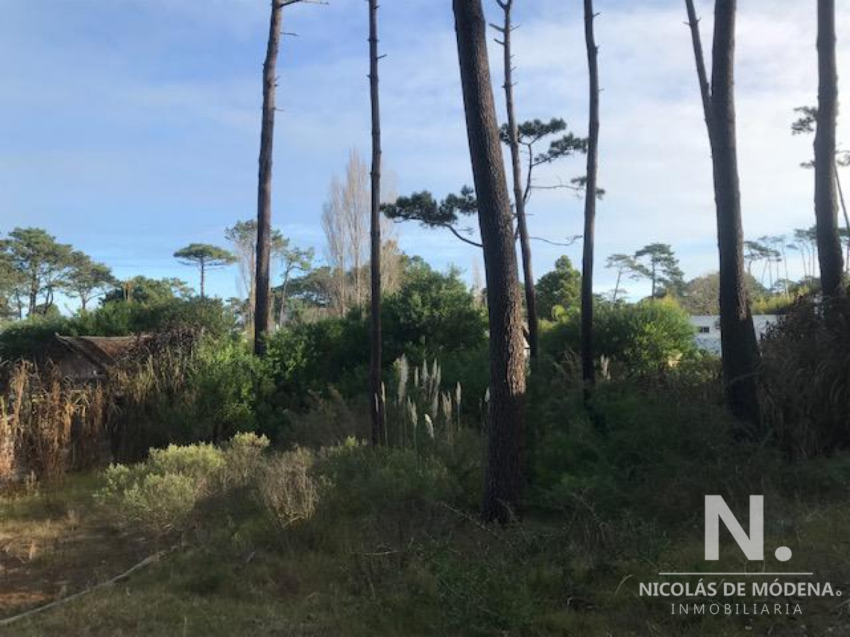 Montoya - GoPunta - Portal Inmobiliario de Punta del Este - Maldonado