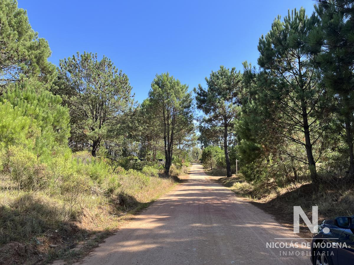 Montoya - GoPunta - Portal Inmobiliario de Punta del Este - Maldonado