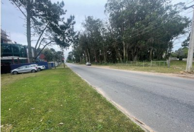 Vende terreno de 1200m2 en Pedragosa Sierra - Punta del Este 