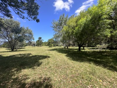 Vende Terreno ideal para desarrollo de barrio privado. Punta del Este