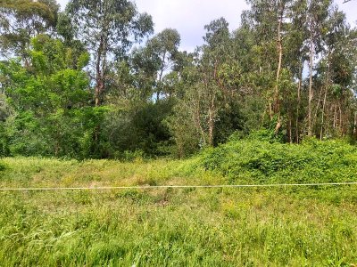 Se vende muy buen terreno en barrio golf, zona exclusiva. Punta del Este 