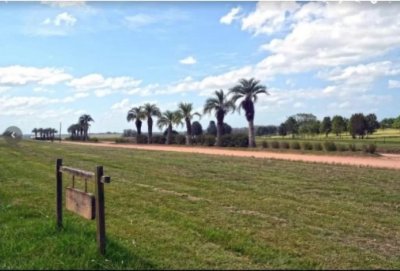 Lote en venta en Pueblo Mio , Manantiales 