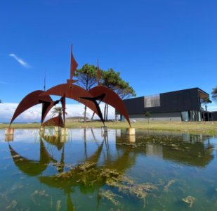 EL NIDO – Beach & Surf Homes - Lanzamiento, lote en venta