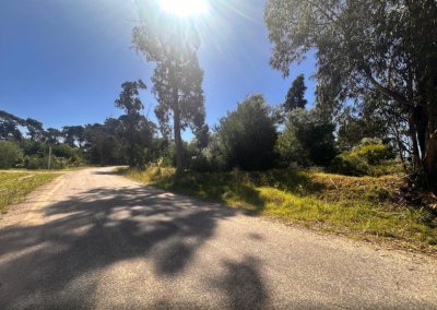 Terreno en Marly - Punta del Este 
