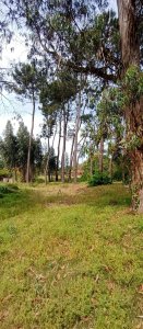 En venta terreno en Barrio Marly.