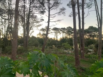 Terreno en Venta de 1143m2, en Golf Punta del Este