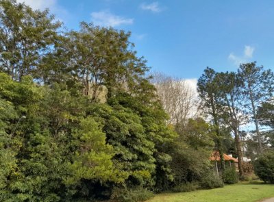 Vende terreno en San Rafael, Punta del Este.