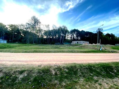 Vende terreno en la hermosa zona de Camino Lussich - Punta Ballena.