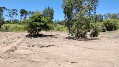 Vende terreno en Golf, Punta del Este.