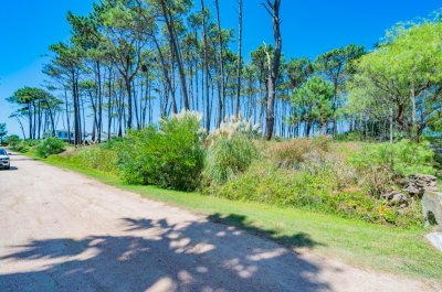 Vende terreno en Laguna Blanca.