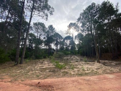 OPORTUNIDAD. TERRENO EN VENTA EN CLUB DEL LAGO, PUNTA BALLENA. 