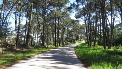 Terreno amplio en Punta Ballena