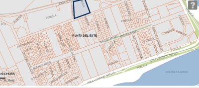 En venta gran terreno en Barrio Rincón del Indio.
