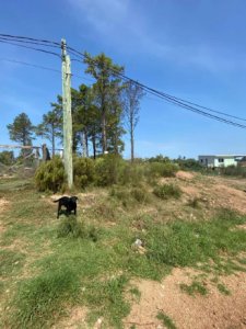 Vende terreno en Altos de la Laguna 