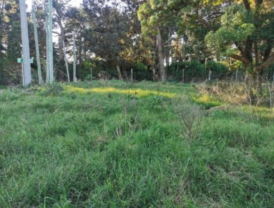 Vende terreno en Piedras del Chileno.