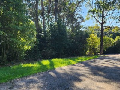 Vende terreno amplio de 4226 m2, en Las Cumbres- Punta Ballena.