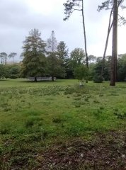 emocionante oportunidad de adquirir un terreno de 1000 metros cuadrados en San Rafael