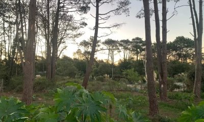 Terreno en Venta de 1143m2, en Golf Punta del Este
