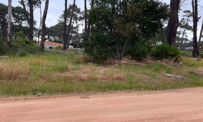 Vende terreno en Reserva Montoya.
