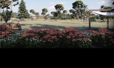Lote en Los Guayabos