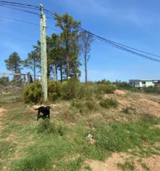 Vende terreno en Altos de la Laguna