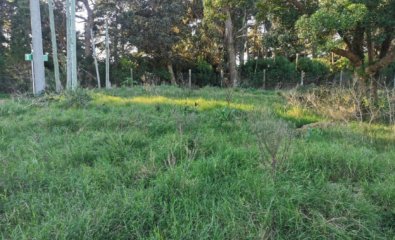 Vende terreno en Piedras del Chileno.