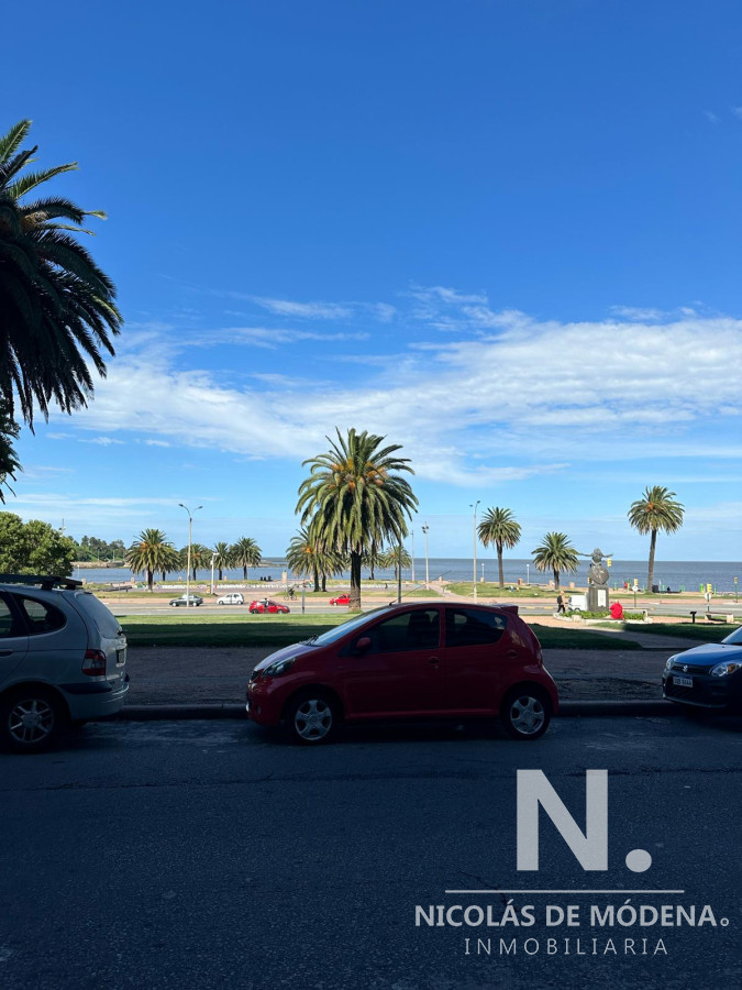 Parque Rodo - GoPunta - Portal Inmobiliario de Punta del Este - Maldonado