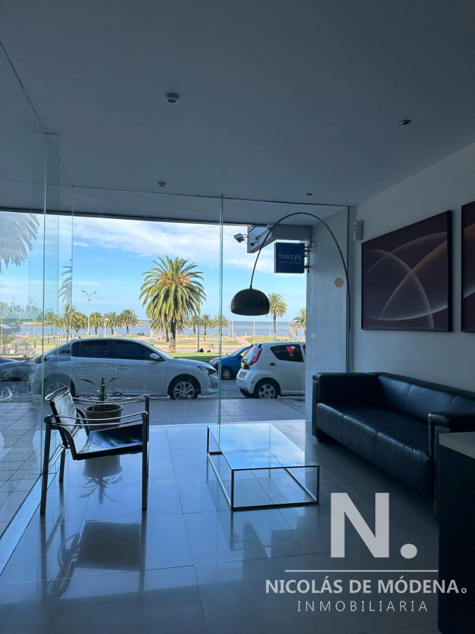 Parque Rodo - GoPunta - Portal Inmobiliario de Punta del Este - Maldonado
