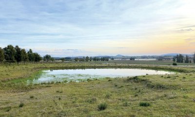 Venta Chacra 5 Hectareas sobre Ruta 12