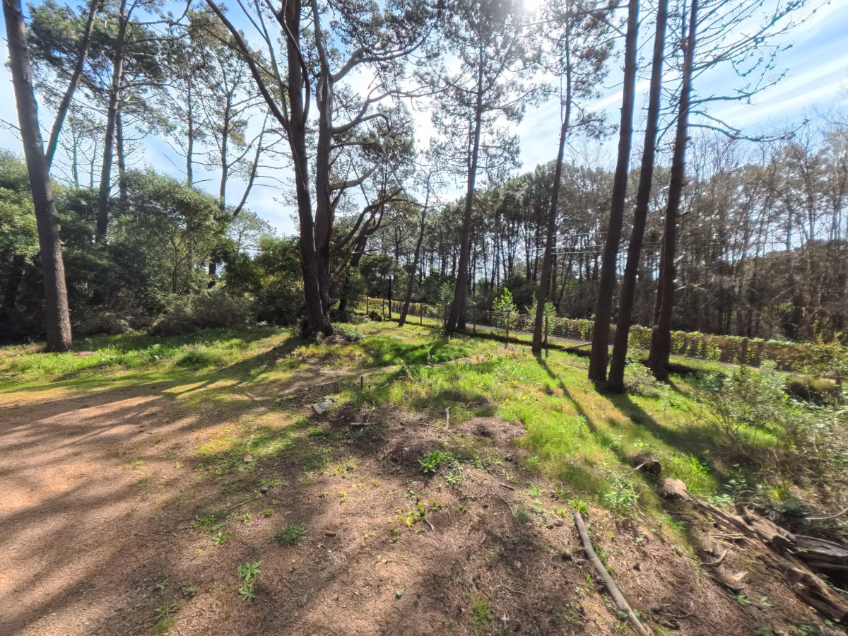 Terreno ID.1725 - Terreno Reserva Montoya 